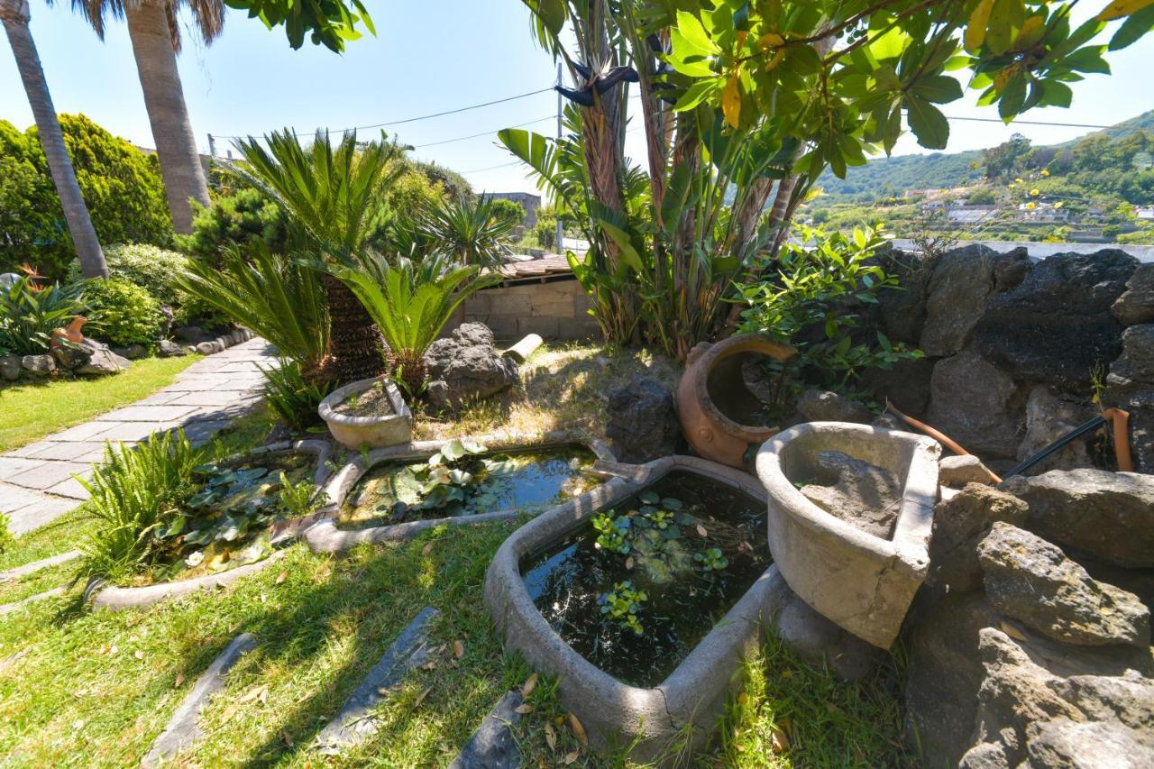 Villa Stefania Barano dʼIschia Buitenkant foto